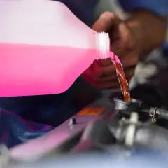 Main d'un mécanicien versant du liquide de refroidissement rose dans le radiateur d'une voiture. C'est le moment idéal pour savoir quand changer liquide de refroidissement.