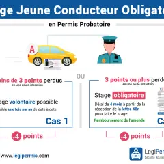 Le taux d'alcool autorisé pour un jeune conducteur en permis probatoire est implicitement abordé par les conséquences de la perte de points. L'image détaille les stages obligatoires ou volontaires selon le nombre de points perdus.