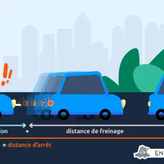 Illustration montrant la distance d'arrêt d'une voiture, composée du temps de réaction et de la distance de freinage. Une vieille dame appuie sur la pédale de frein.