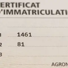 Extrait de la carte grise : P.1 (cylindrée) 1461 cm³, P.2 (puissance) 81 CV.