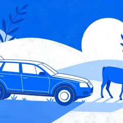 Une voiture qui broute en roulant, à essence, s'arrête près d'un cerf qui broute dans un paysage bleu et blanc.