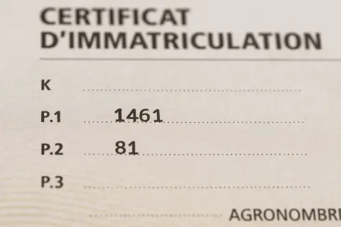 Extrait de la carte grise : P.1 (cylindrée) 1461 cm³, P.2 (puissance) 81 CV.