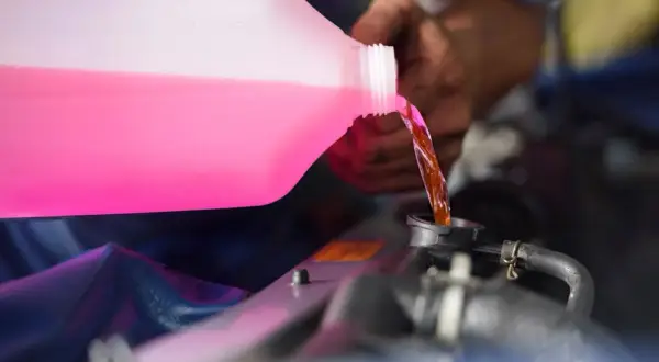 Main d'un mécanicien versant du liquide de refroidissement rose dans le radiateur d'une voiture. C'est le moment idéal pour savoir quand changer liquide de refroidissement.