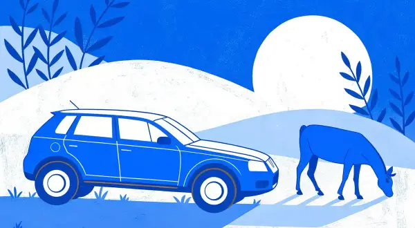 Une voiture qui broute en roulant, à essence, s'arrête près d'un cerf qui broute dans un paysage bleu et blanc.