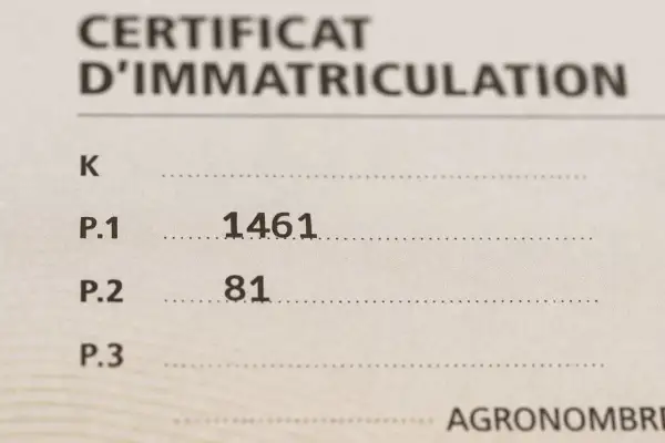 Extrait de la carte grise : P.1 (cylindrée) 1461 cm³, P.2 (puissance) 81 CV.
